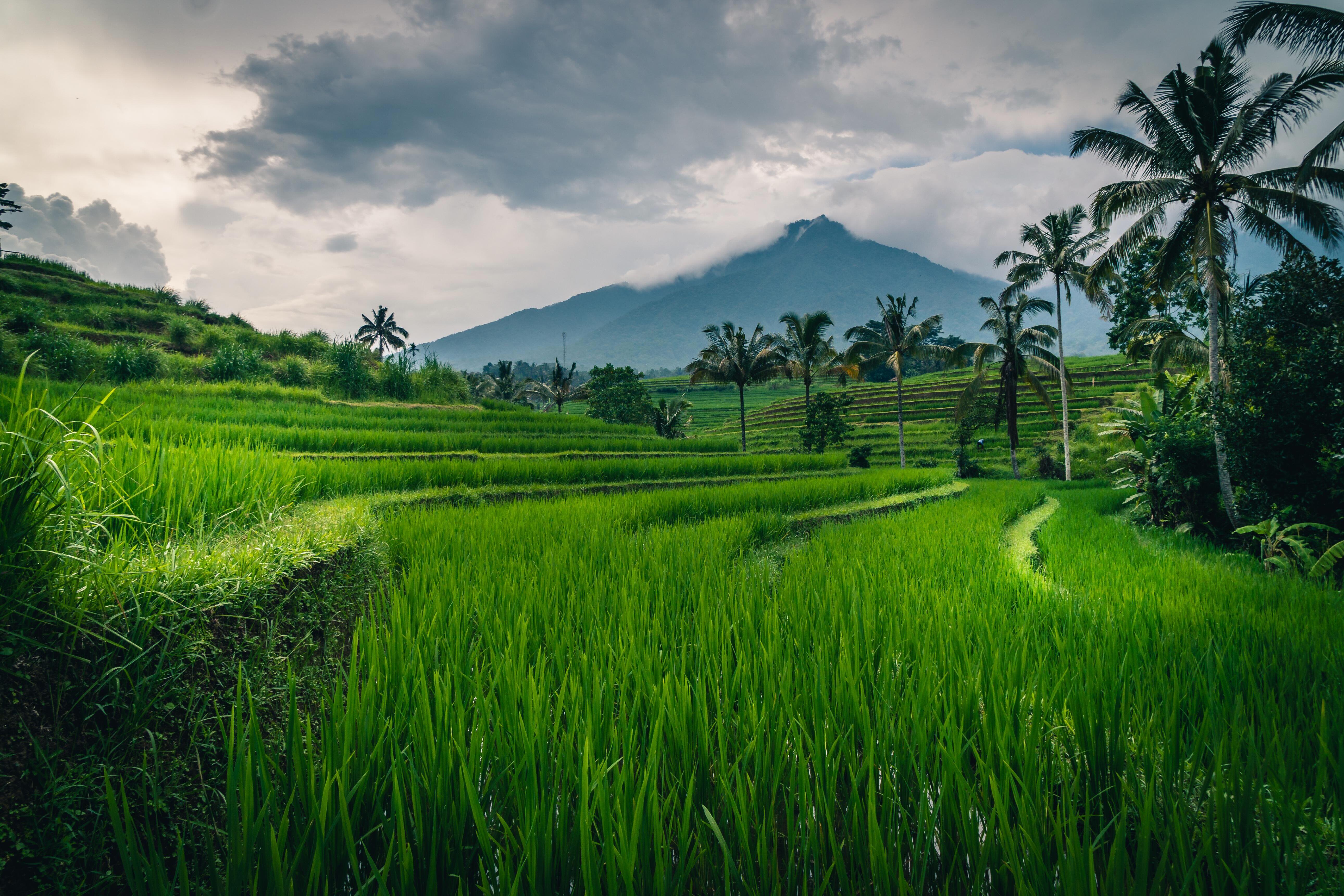 Securing a High-Value Lease in Bali